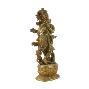 Krishna 07*
